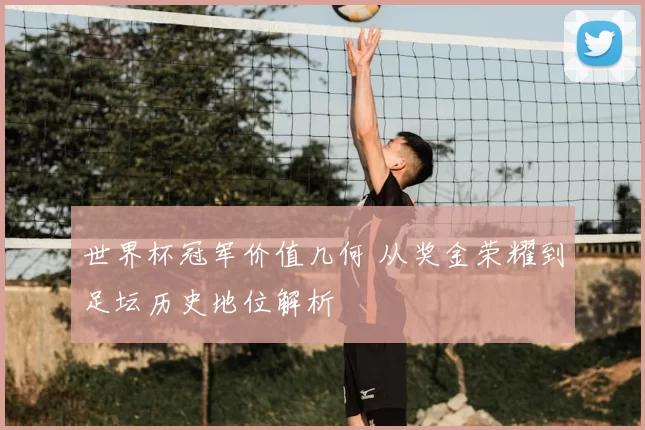 世界杯冠军价值几何 从奖金荣耀到足坛历史地位解析