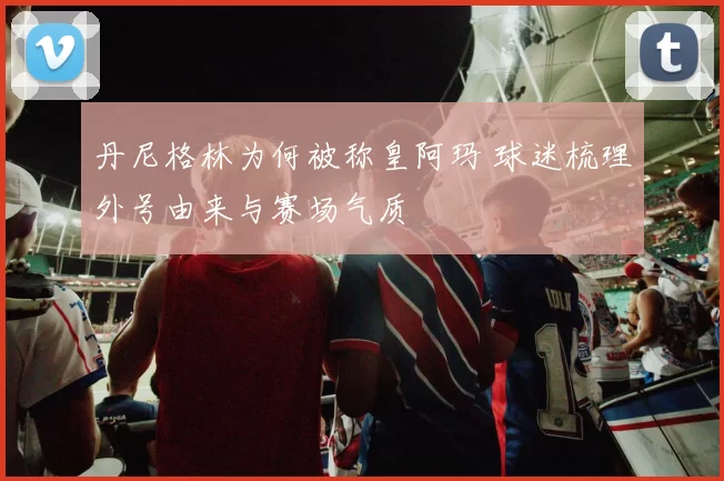 丹尼格林为何被称皇阿玛 球迷梳理外号由来与赛场气质