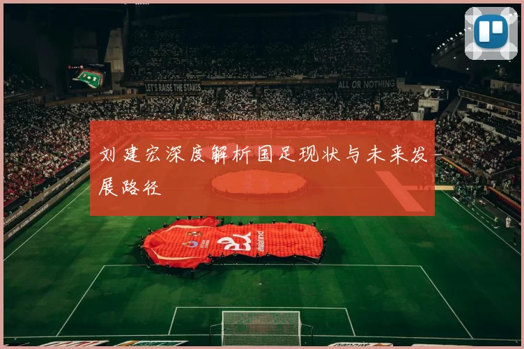 刘建宏深度解析国足现状与未来发展路径