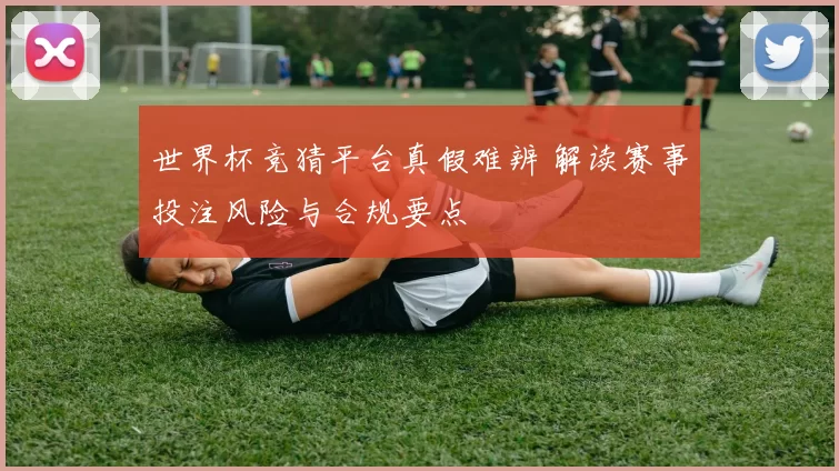 世界杯竞猜平台真假难辨 解读赛事投注风险与合规要点