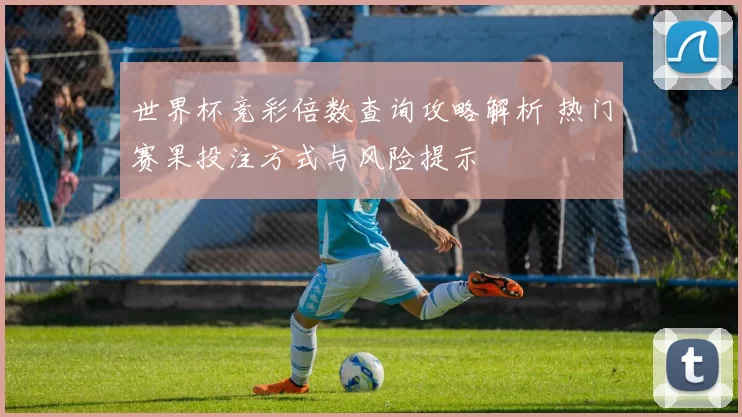 世界杯竞彩倍数查询攻略解析 热门赛果投注方式与风险提示